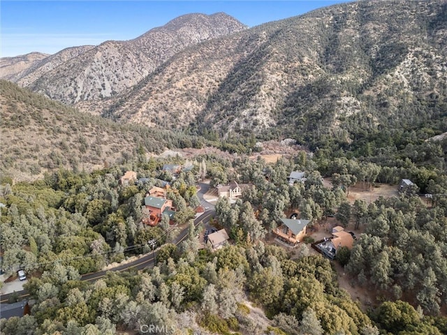 13924 Yellowstone Dr, Pine Mountain Club, CA 93225 - photo 6