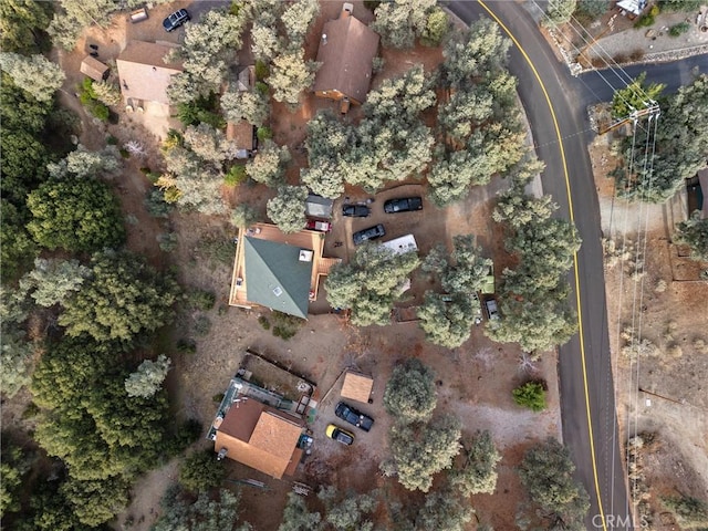 13924 Yellowstone Dr, Pine Mountain Club, CA 93225 - photo 5