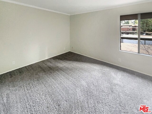 carpeted spare room with ornamental molding