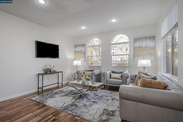 living room featuring hardwood / wood-style floors