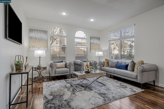 living room with dark hardwood / wood-style floors