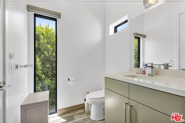 bathroom featuring vanity, wood-type flooring, and toilet