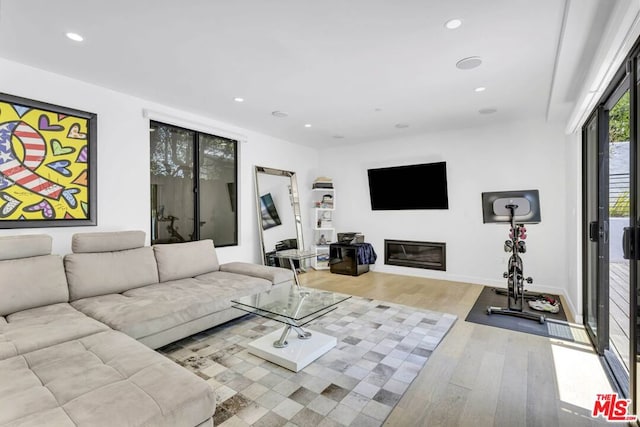 living room with light hardwood / wood-style floors