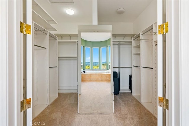4342 Shadow Canyon Rd, Templeton, CA 93465 - photo 31