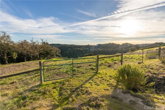 view of yard with a gate, a rural view, and fence