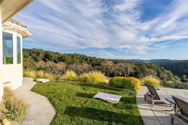 view of yard featuring a patio and a forest view