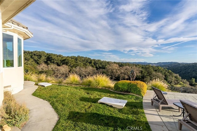 4342 Shadow Canyon Rd, Templeton, CA 93465 - photo 15