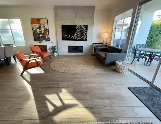 living room featuring a fireplace and crown molding