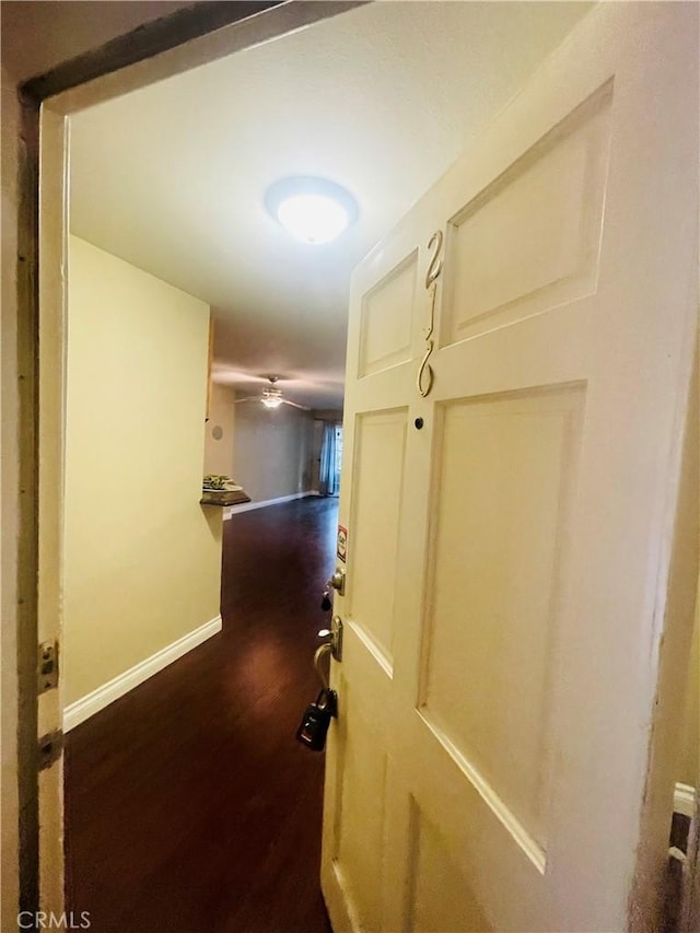 hall featuring dark hardwood / wood-style floors