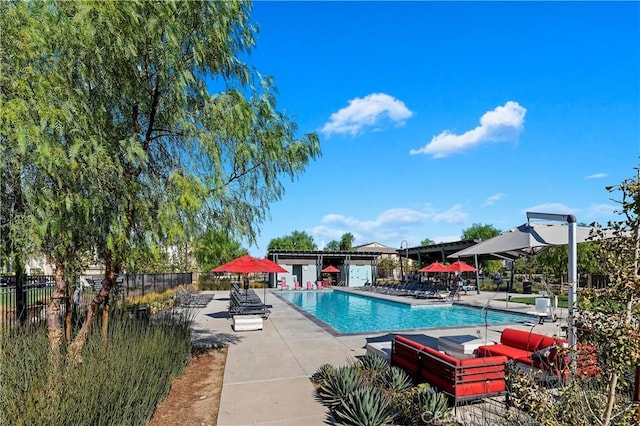 view of pool featuring a patio