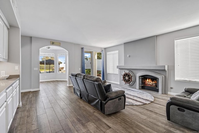 living room with hardwood / wood-style flooring