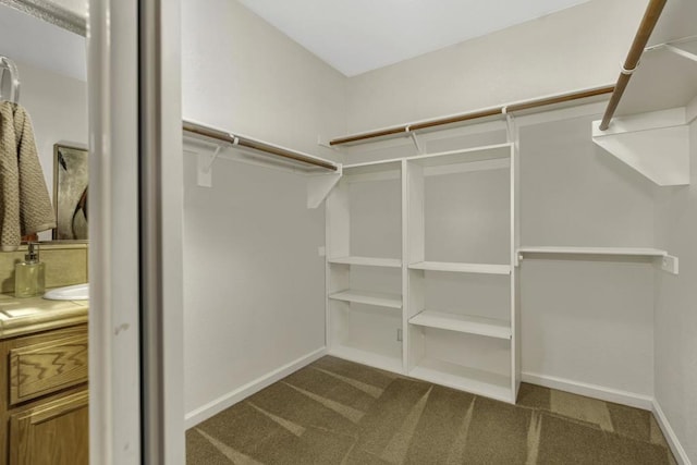 walk in closet with carpet