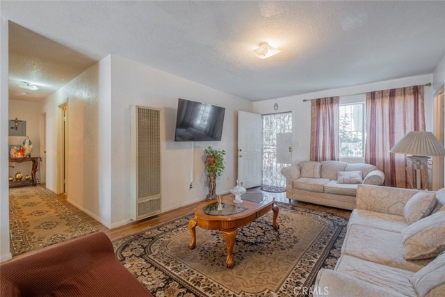 living room with a textured ceiling and hardwood / wood-style floors