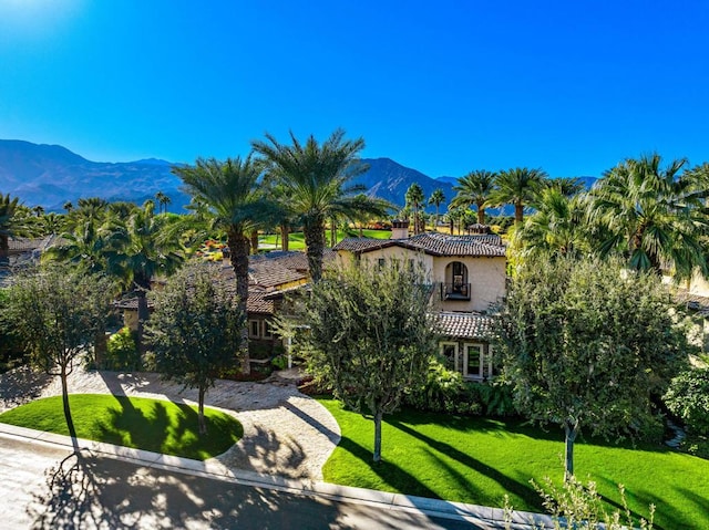 view of front of home with a mountain view and a front lawn