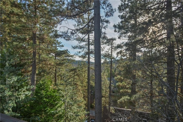 173 Grizzly Rd, Lake Arrowhead, CA 92352 - view of mountain backdrop with a heavily wooded area
