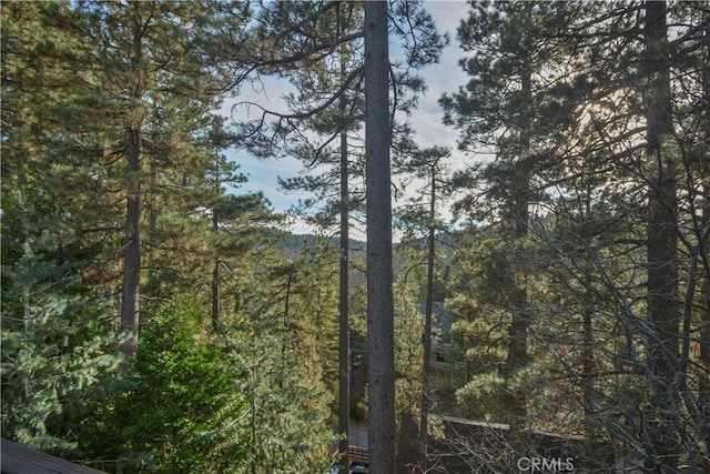 173 Grizzly Rd, Lake Arrowhead, CA 92352 - photo 23