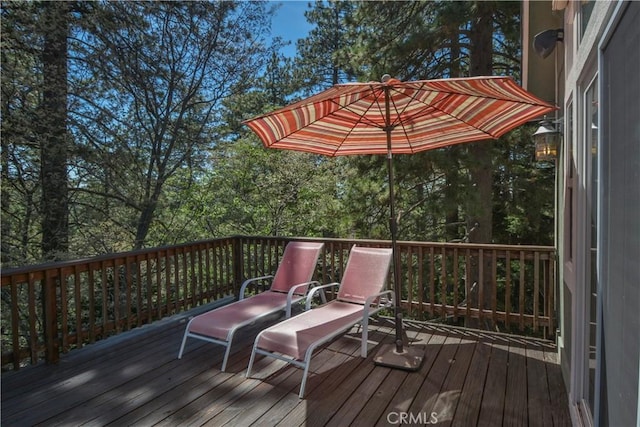 173 Grizzly Rd, Lake Arrowhead, CA 92352 - photo 20