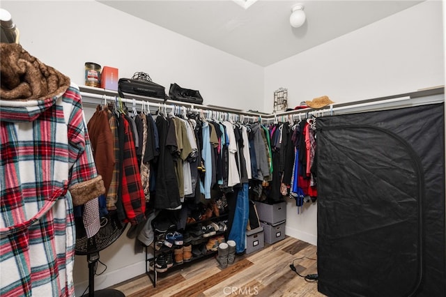 walk in closet featuring wood finished floors