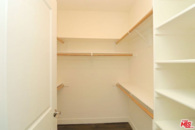 walk in closet with dark hardwood / wood-style flooring