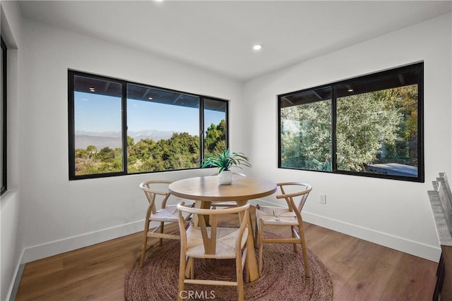 dining room featuring hardwood / wood-style flooring