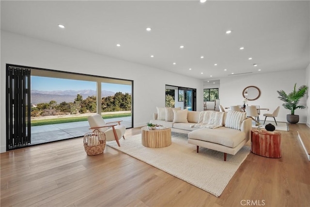 living room featuring light hardwood / wood-style flooring