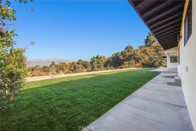 view of yard featuring a patio area