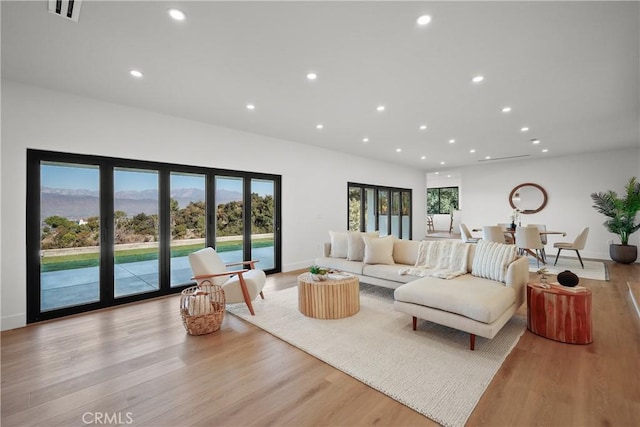 living room featuring light hardwood / wood-style flooring