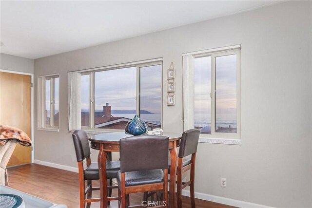 dining room featuring wood-type flooring and plenty of natural light