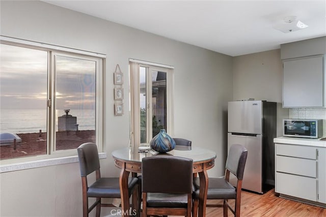 dining space featuring light hardwood / wood-style floors and plenty of natural light