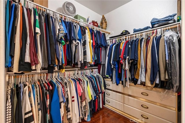 walk in closet featuring dark hardwood / wood-style flooring