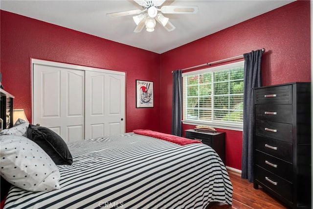 bedroom featuring ceiling fan, a closet, and dark hardwood / wood-style flooring