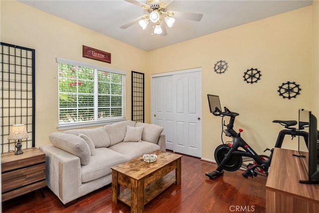 living room with ceiling fan and dark wood-type flooring