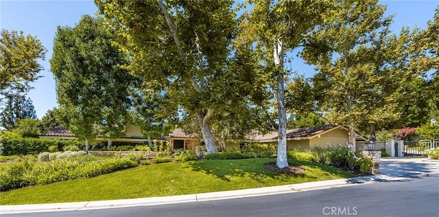 ranch-style house featuring a front yard