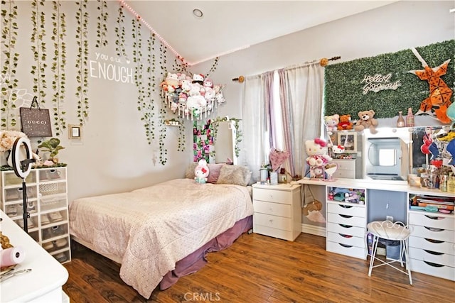 bedroom with multiple windows and dark hardwood / wood-style floors