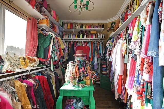 spacious closet featuring hardwood / wood-style floors and a chandelier