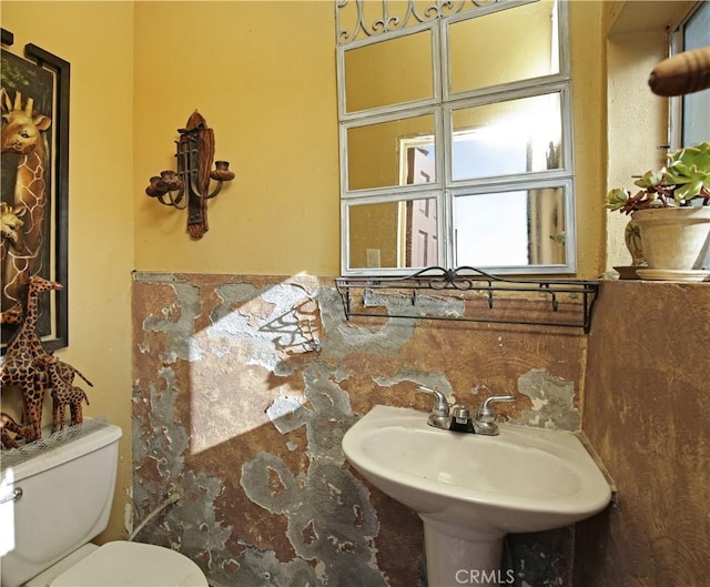 bathroom with toilet and sink