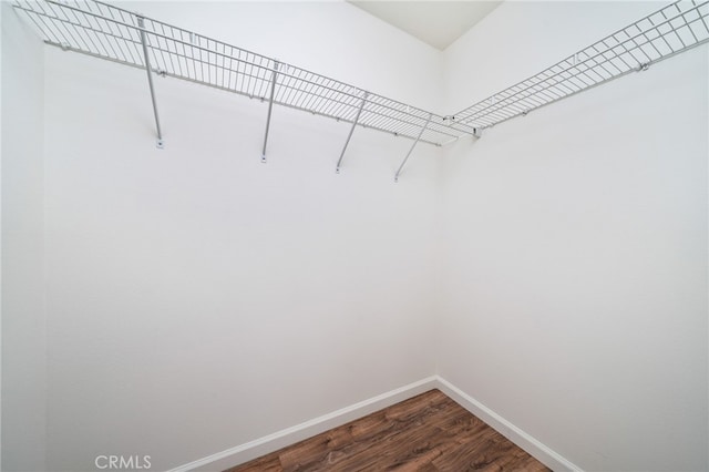 walk in closet featuring dark wood-type flooring