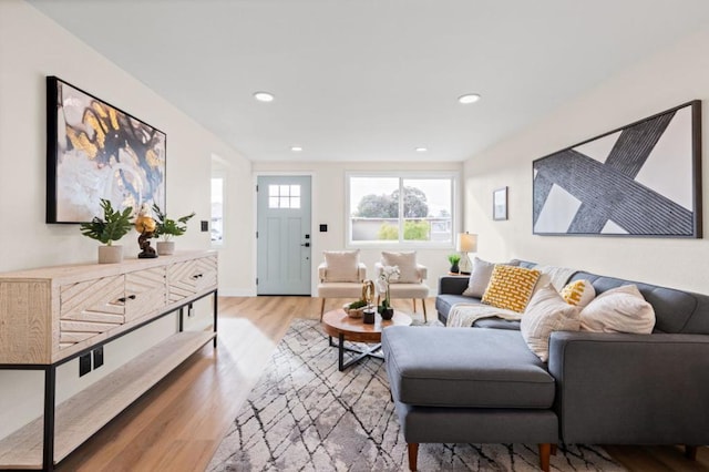 living room with wood-type flooring