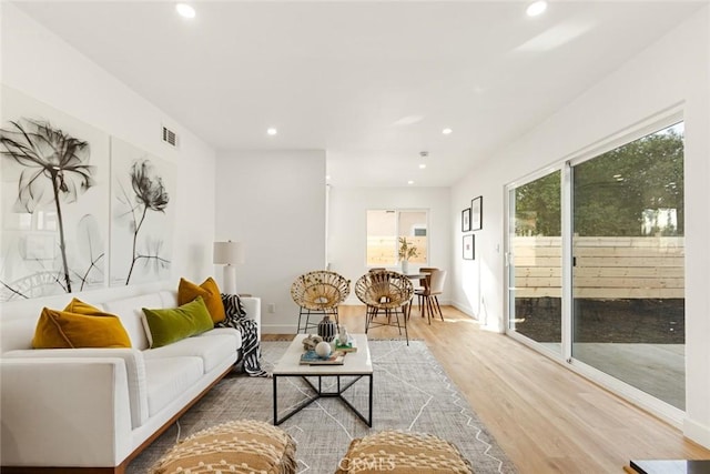 living room featuring hardwood / wood-style flooring