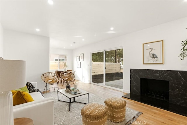 living room with a premium fireplace and hardwood / wood-style floors