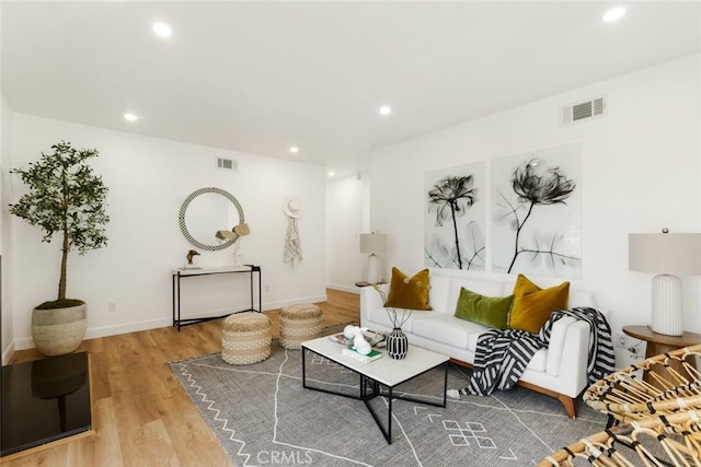 living room featuring light wood-type flooring