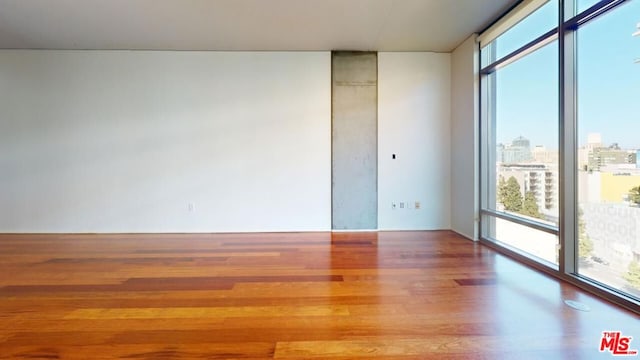 empty room featuring a healthy amount of sunlight, wood-type flooring, and expansive windows