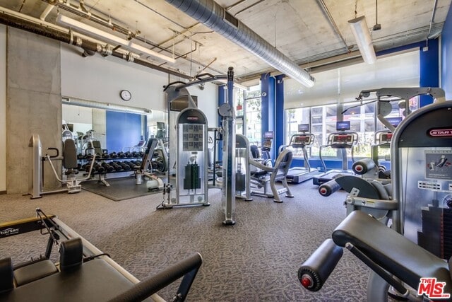 gym featuring carpet flooring