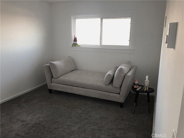 living area with dark colored carpet