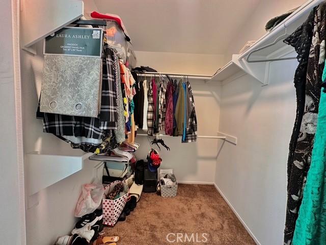 walk in closet with carpet