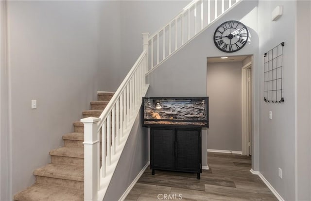 staircase with wood-type flooring