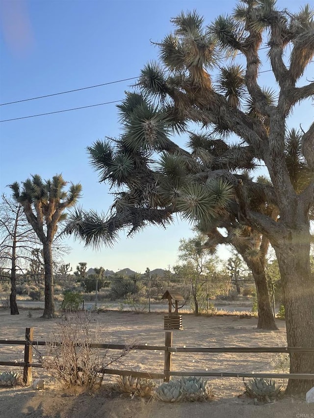 view of yard with a rural view