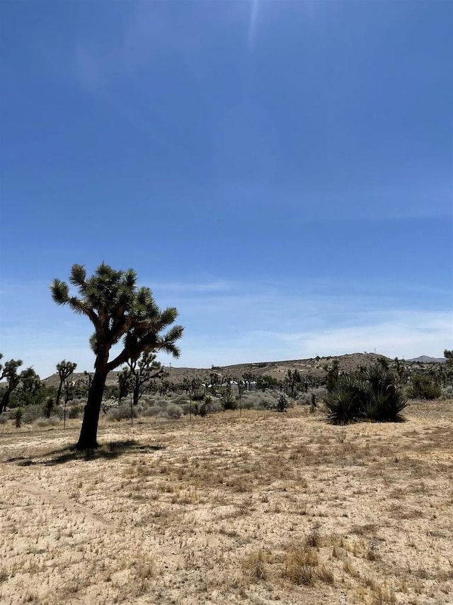 view of local wilderness featuring a rural view