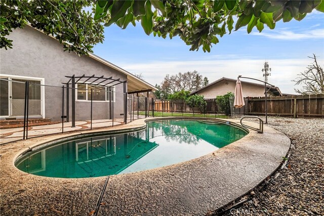 view of swimming pool with a patio