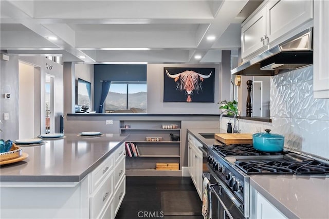 kitchen featuring white cabinets, sink, stainless steel stove, and backsplash